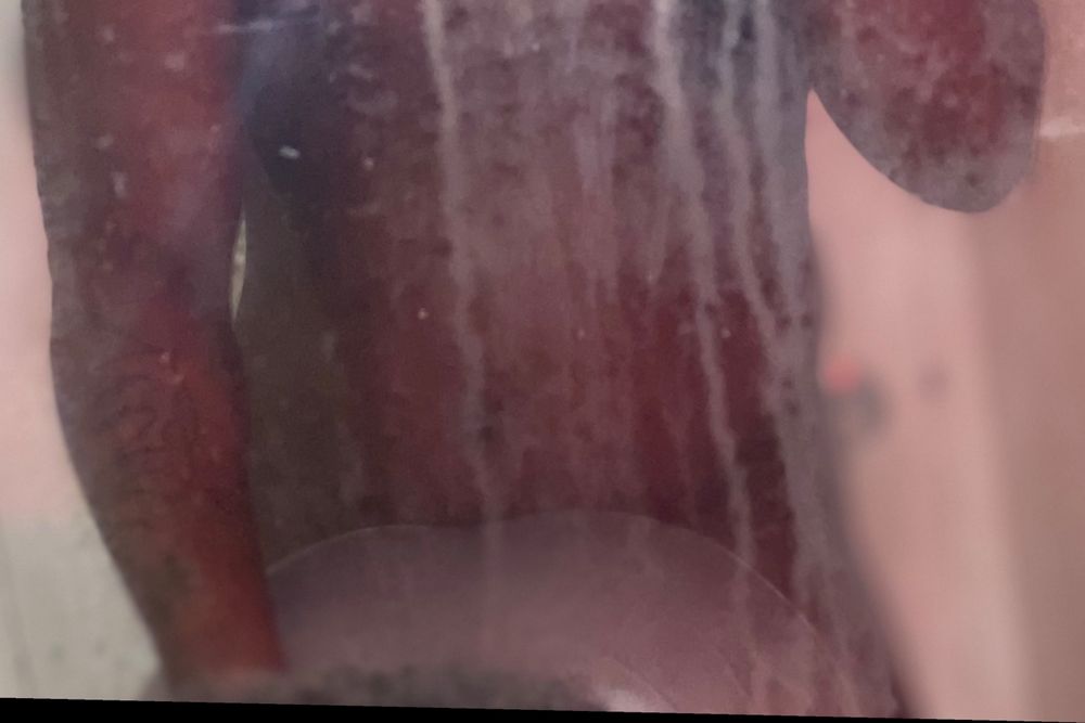 txk_kreationzz OnlyFans profile picture