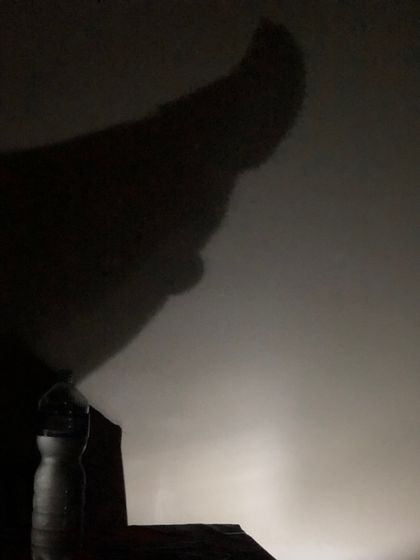 sexyintheshadow OnlyFans picture