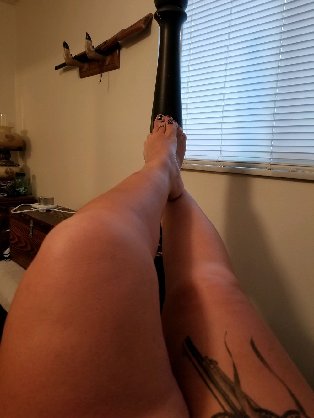 snobbyflirt OnlyFans profile picture