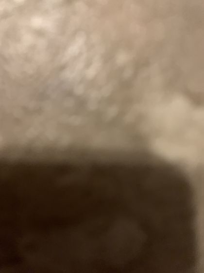 u17310944 OnlyFans picture