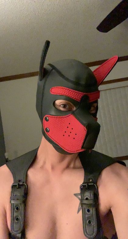 muff1n_top OnlyFans picture