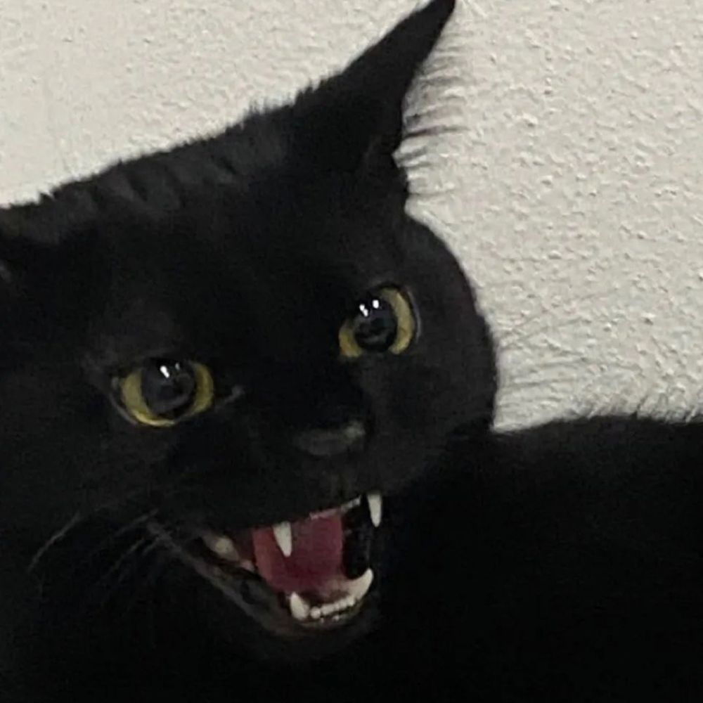 bbychiomuak OnlyFans profile picture
