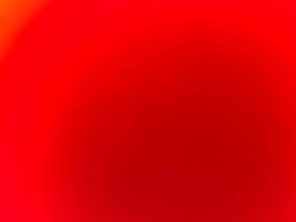 youreanidiot23 OnlyFans profile picture