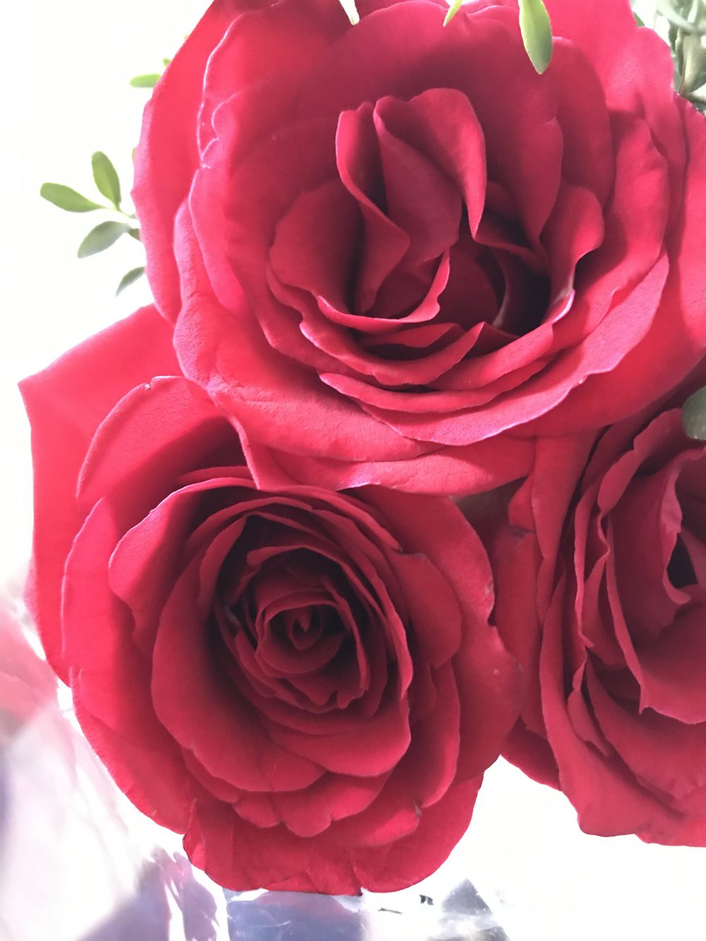 ninfa001 OnlyFans profile picture