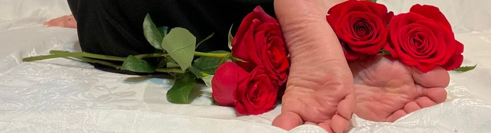 feistyfemininefeet69 OnlyFans profile picture