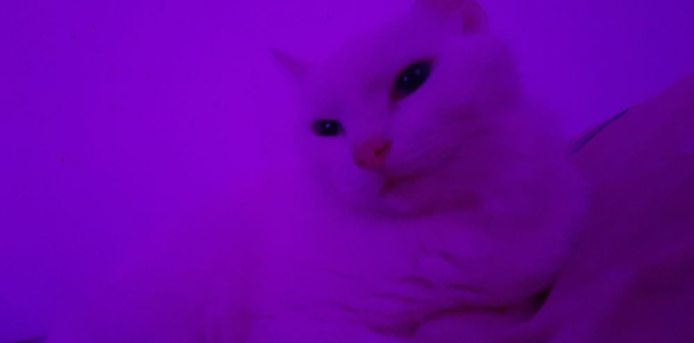 stefqew OnlyFans profile picture