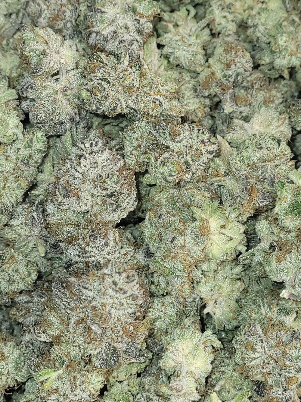 onlyweeds420 OnlyFans profile picture