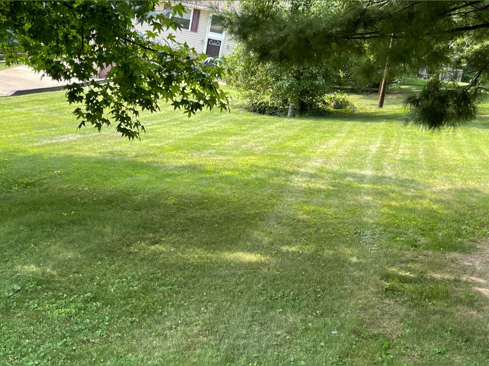 onlylawns OnlyFans profile picture
