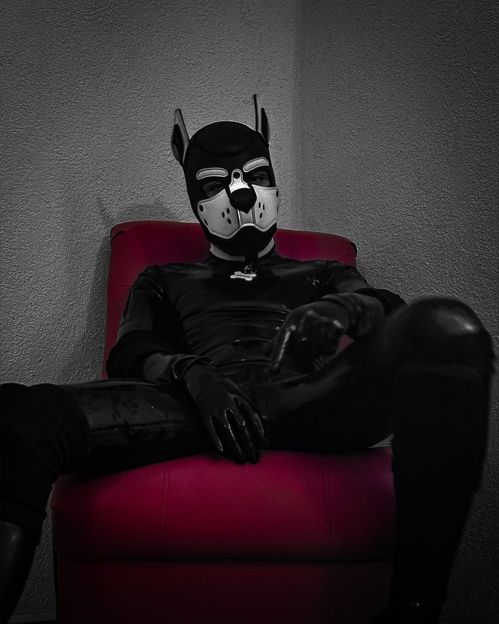 canofcks OnlyFans profile picture