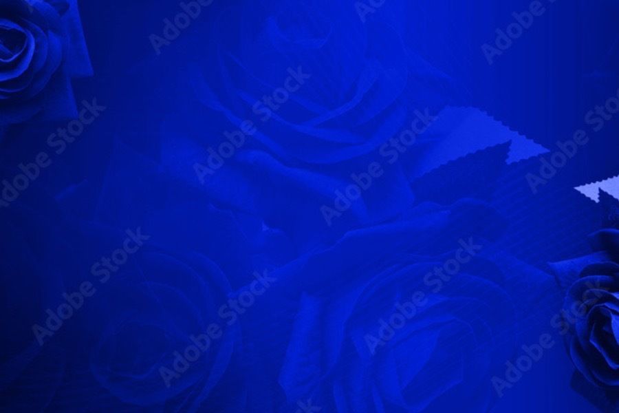 bluchamagne OnlyFans profile picture