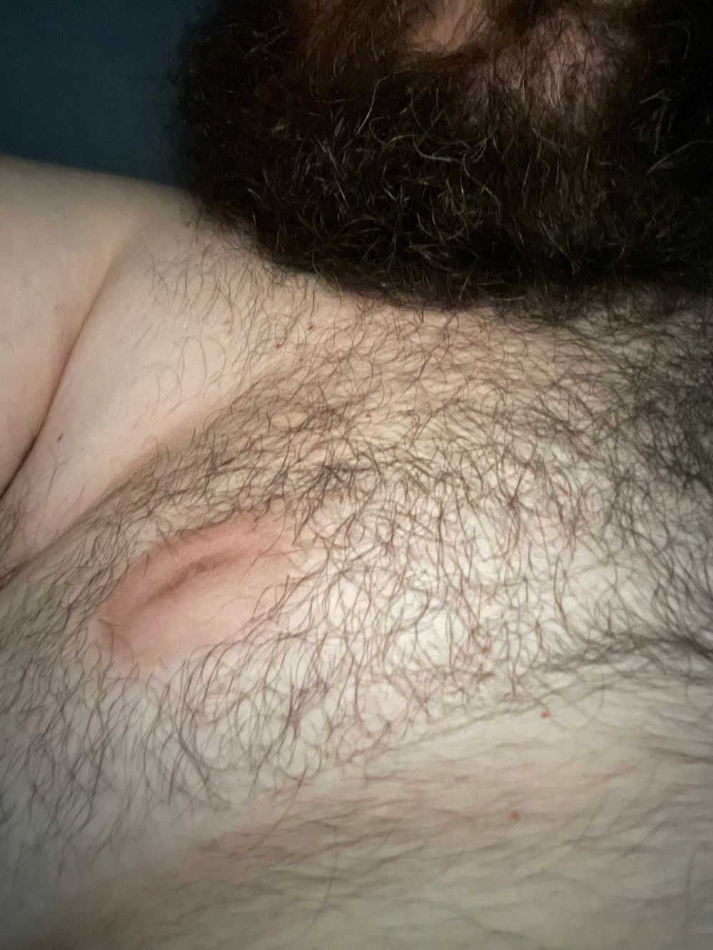 italianonbear OnlyFans profile picture