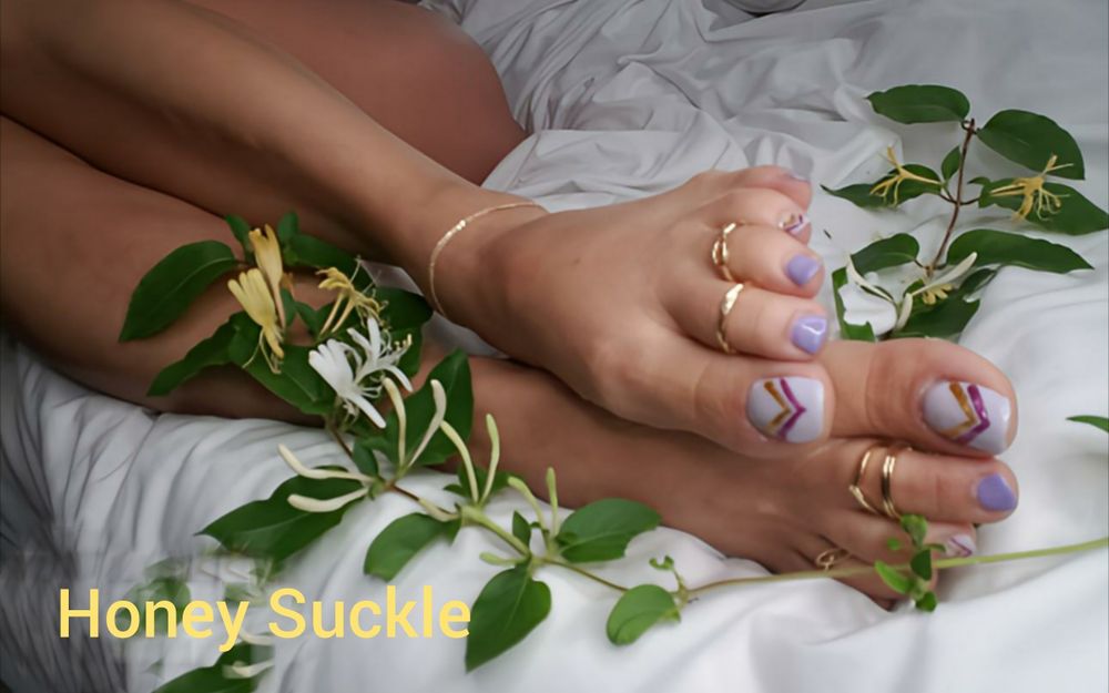 honeysckle177 OnlyFans profile picture