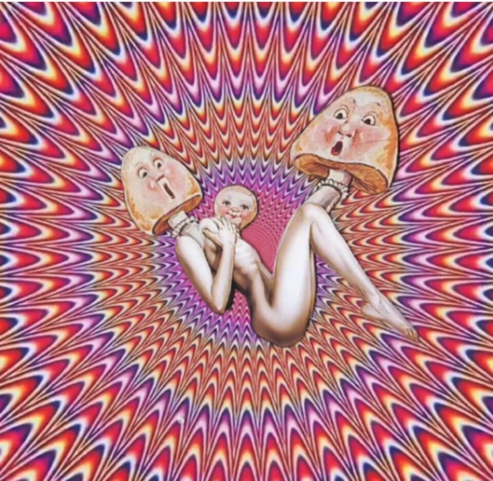 cannabae OnlyFans profile picture
