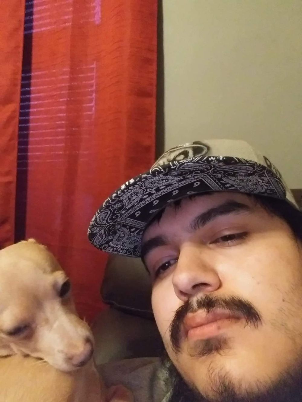 fluffystonerxxx OnlyFans profile picture