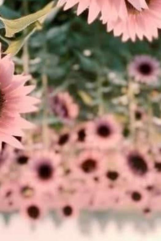floweredkey OnlyFans profile picture