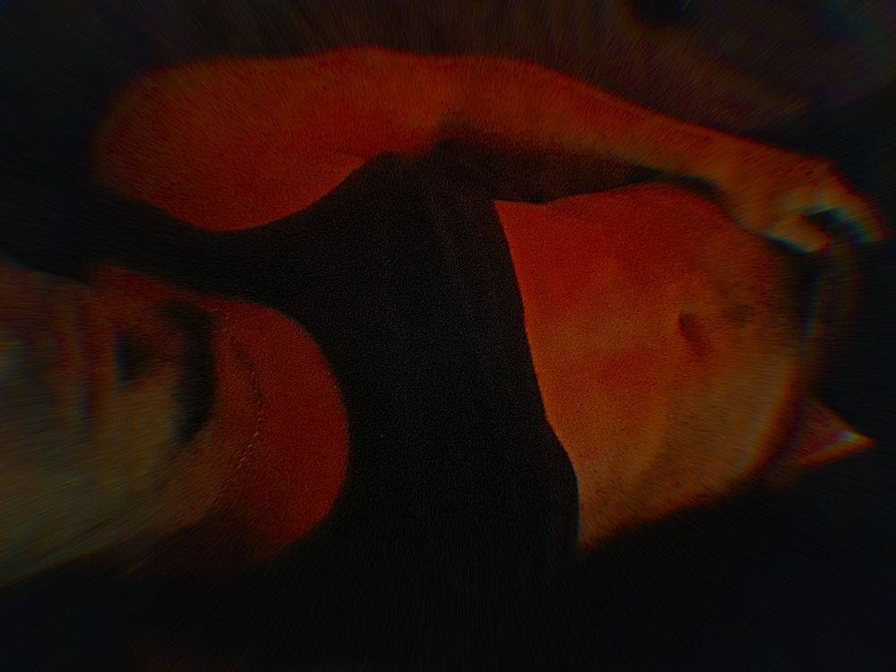 u156207534 OnlyFans profile picture