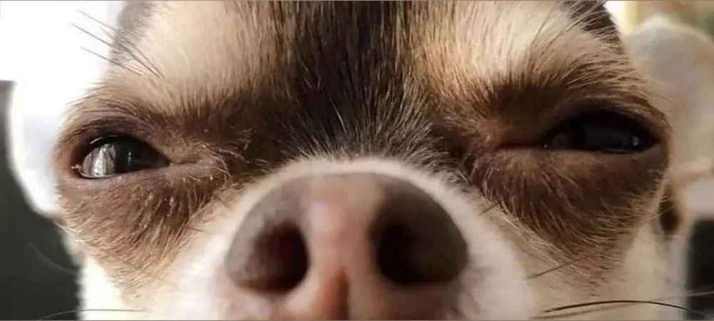 boiiaz OnlyFans profile picture