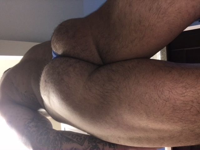 briefsbull OnlyFans profile picture