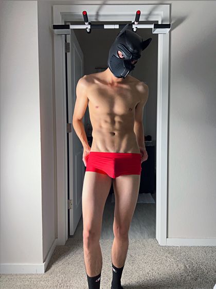 pupboi OnlyFans picture