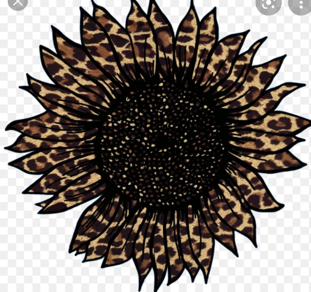 u165476137 OnlyFans profile picture