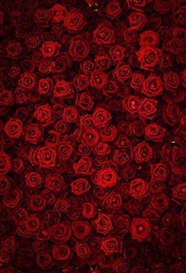 u217981653 OnlyFans profile picture