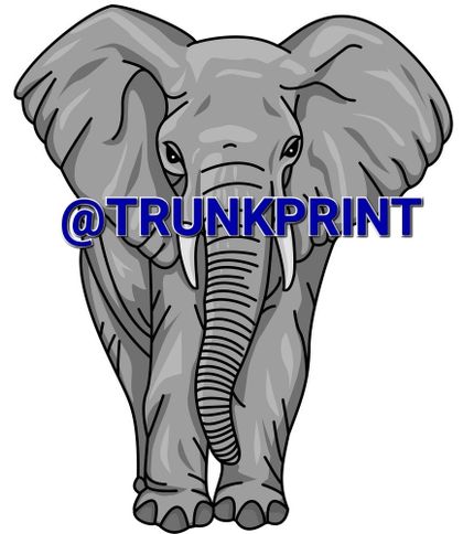 trunkprint OnlyFans picture