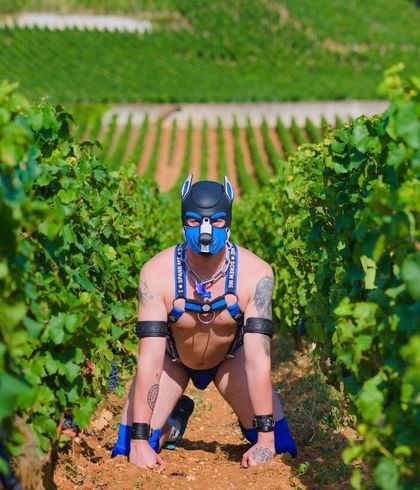 pup.bezko OnlyFans picture