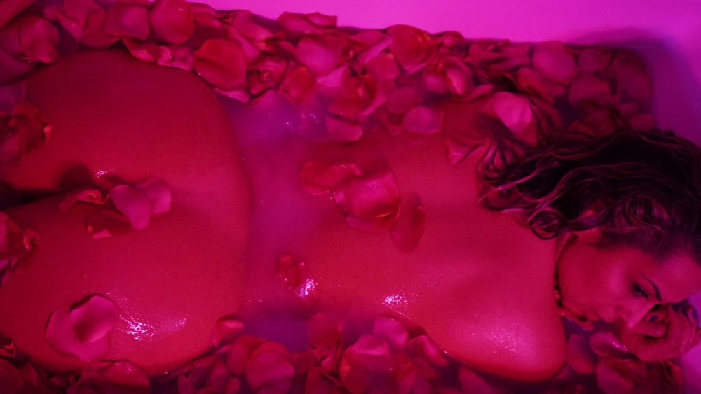vivalavega OnlyFans profile picture