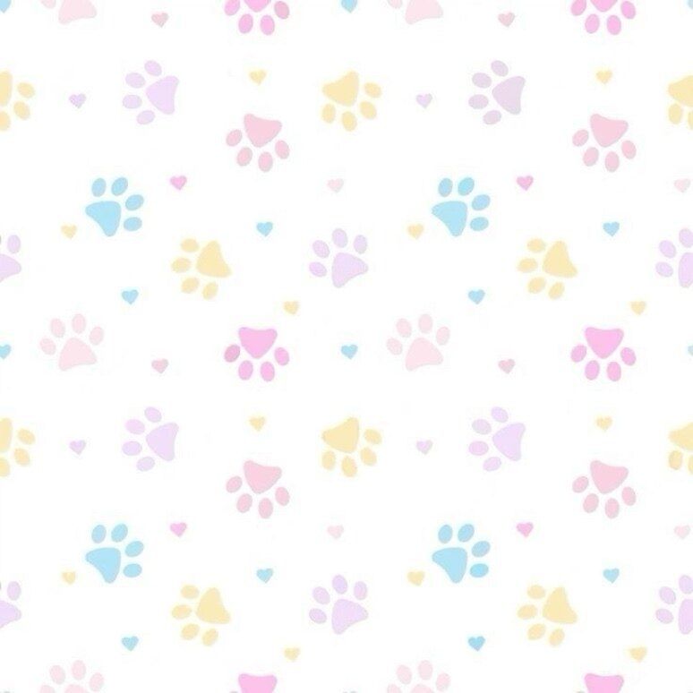 bunnyislewd OnlyFans profile picture