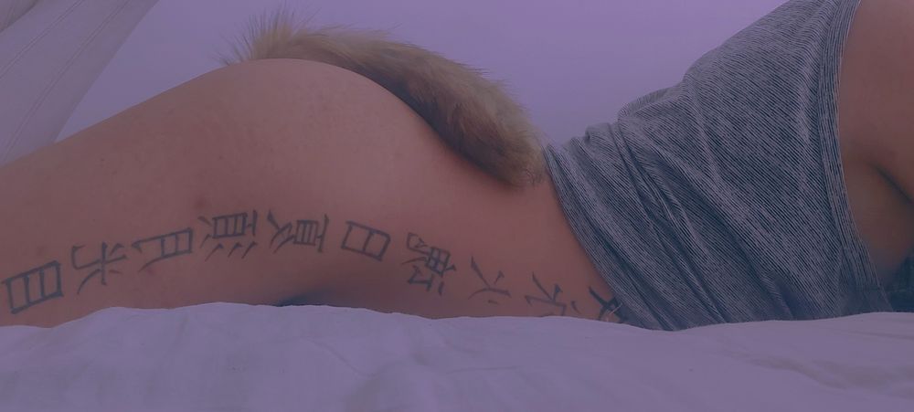 imvennus OnlyFans profile picture