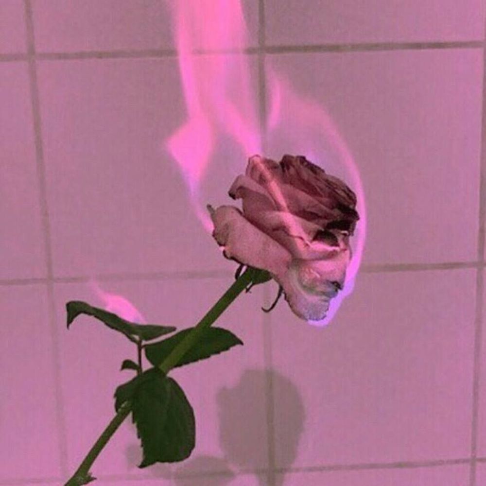 shordiiwiildin OnlyFans profile picture