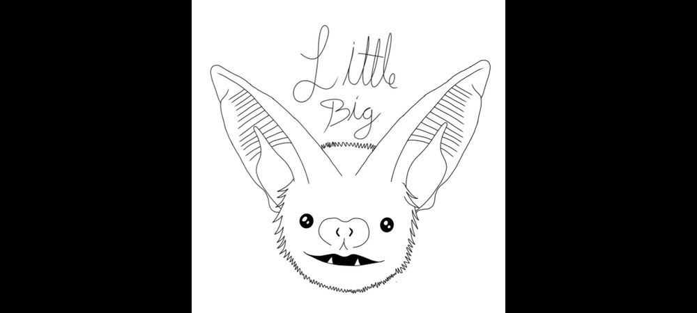 biglittlebat OnlyFans profile picture