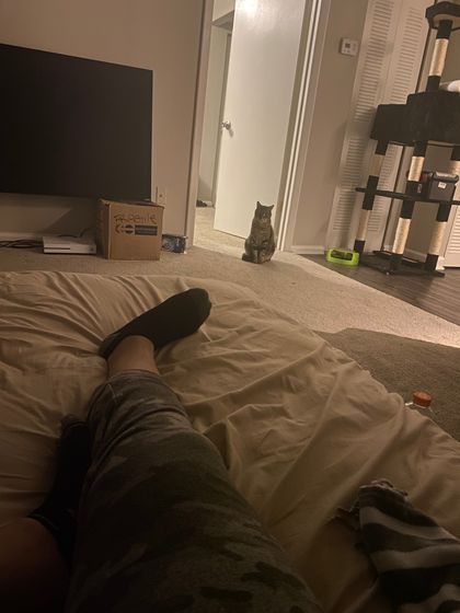 river.wolf1031 OnlyFans picture