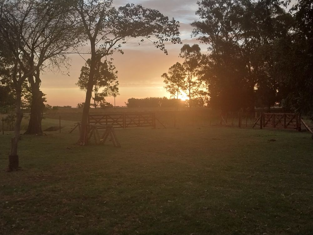 tucon3jitaa OnlyFans profile picture