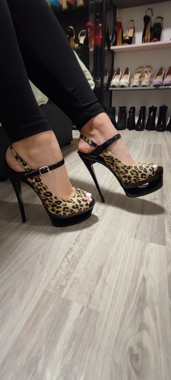 shoefetish22 OnlyFans profile picture