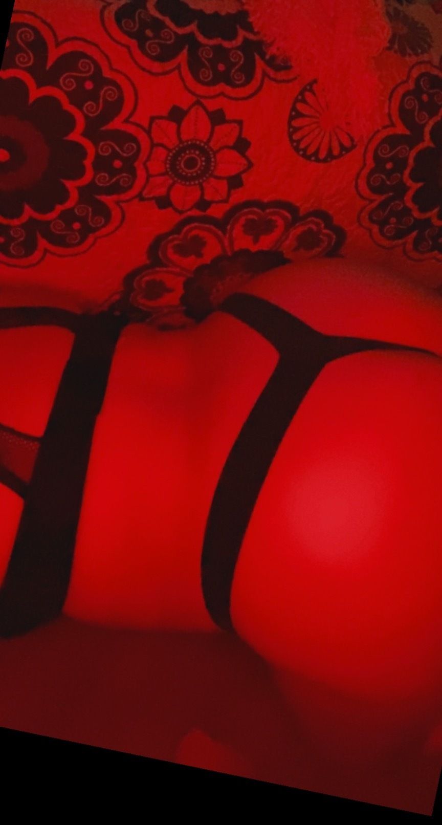 bootyarsenal OnlyFans profile picture