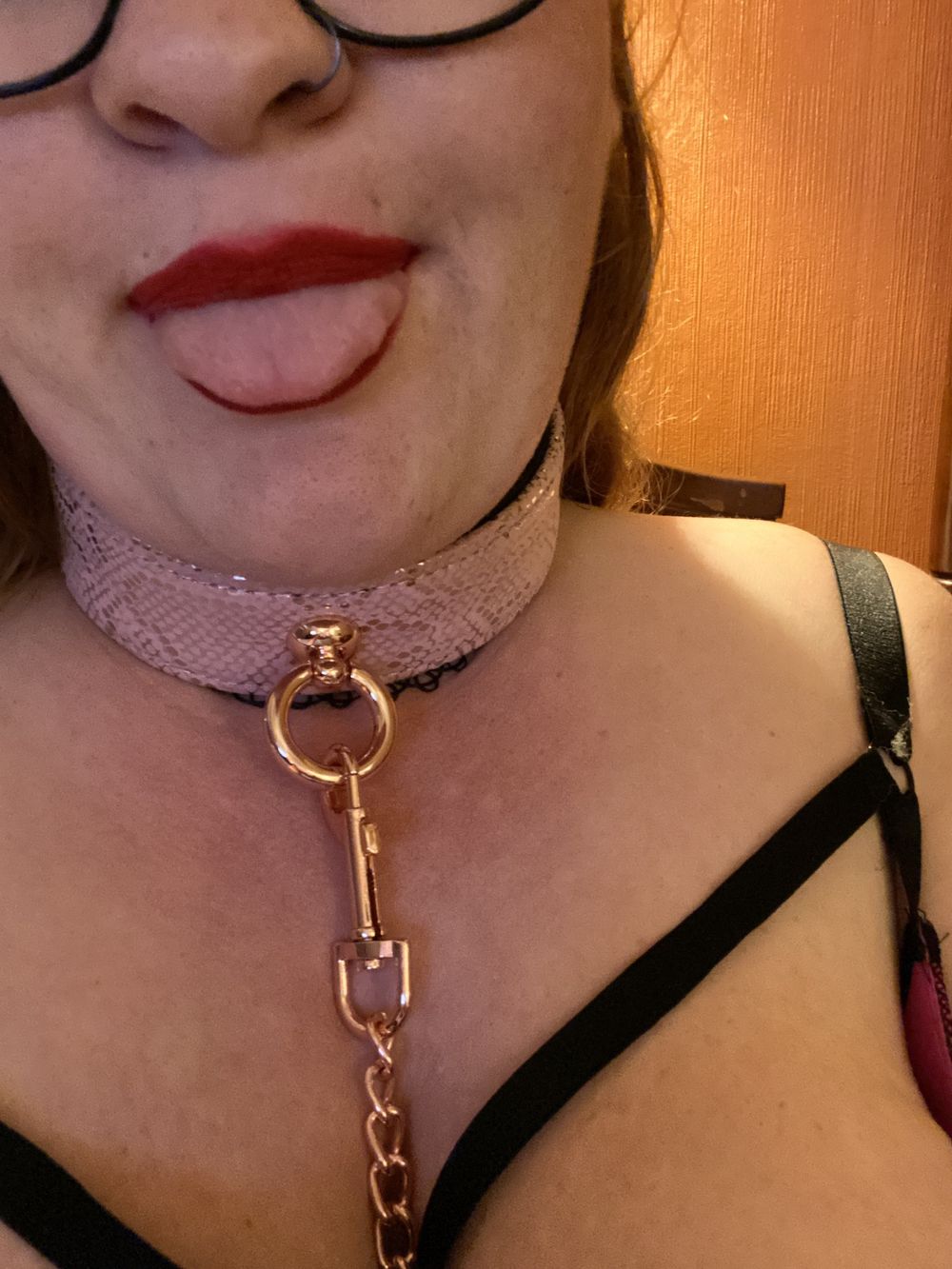 ncwonderland336 OnlyFans profile picture