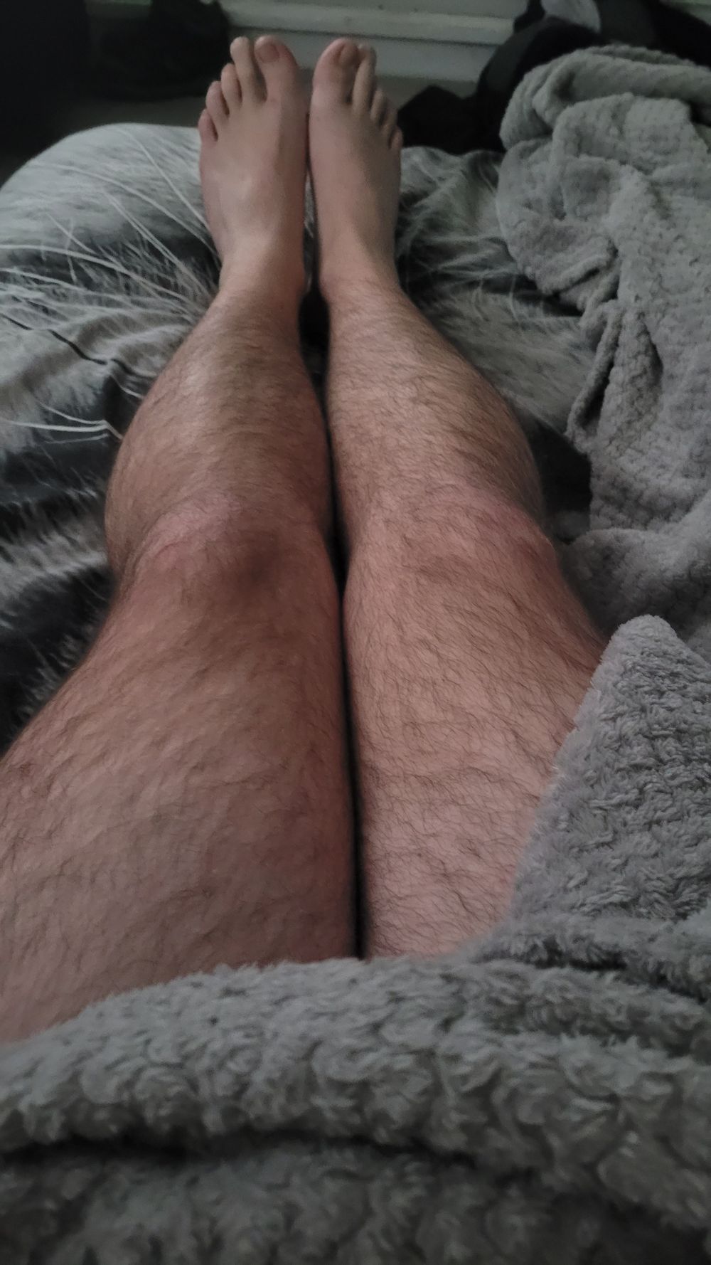 scotcub01 OnlyFans profile picture