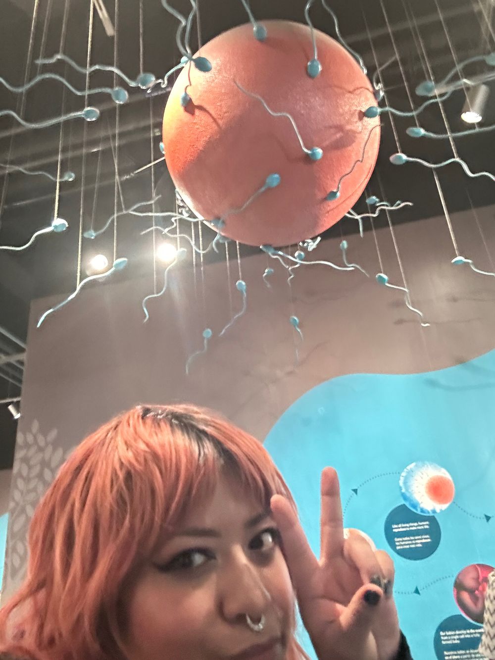 goodbadnotevie OnlyFans profile picture
