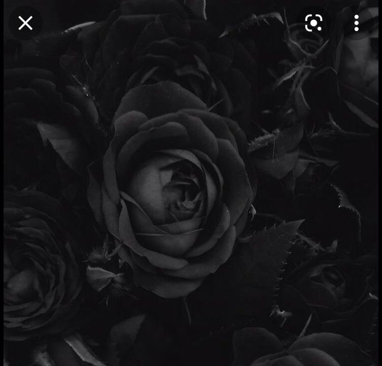 santeriaa OnlyFans profile picture