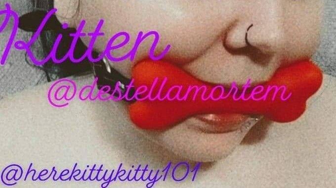 herekittykitty101 OnlyFans profile picture