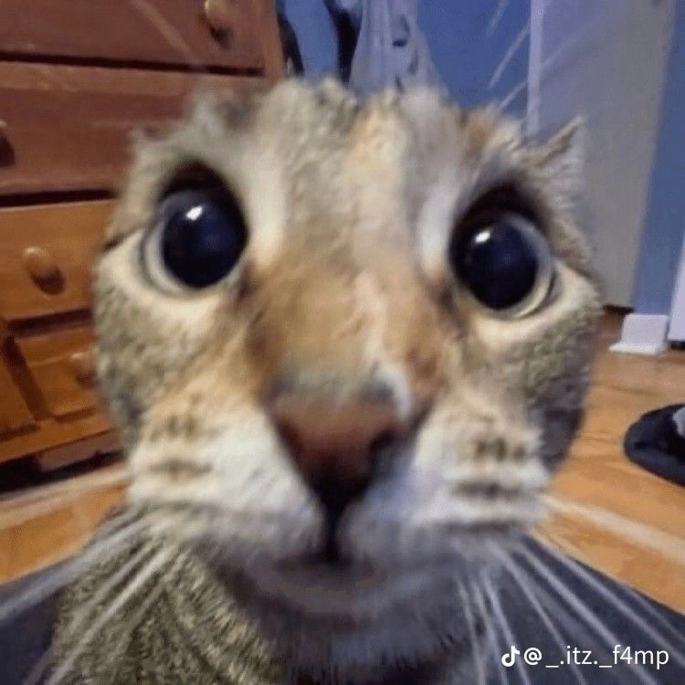 alexspmf OnlyFans profile picture