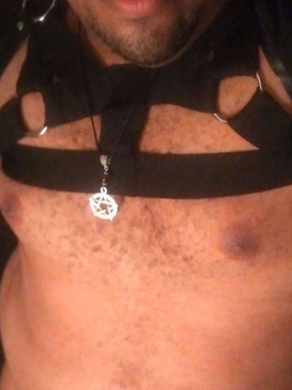 sillychubxxx OnlyFans profile picture