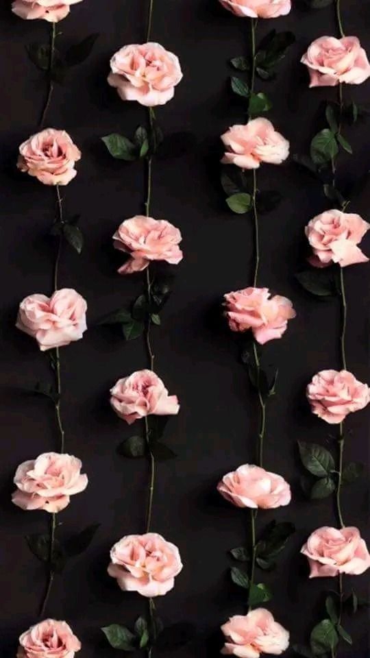 u123285210 OnlyFans profile picture