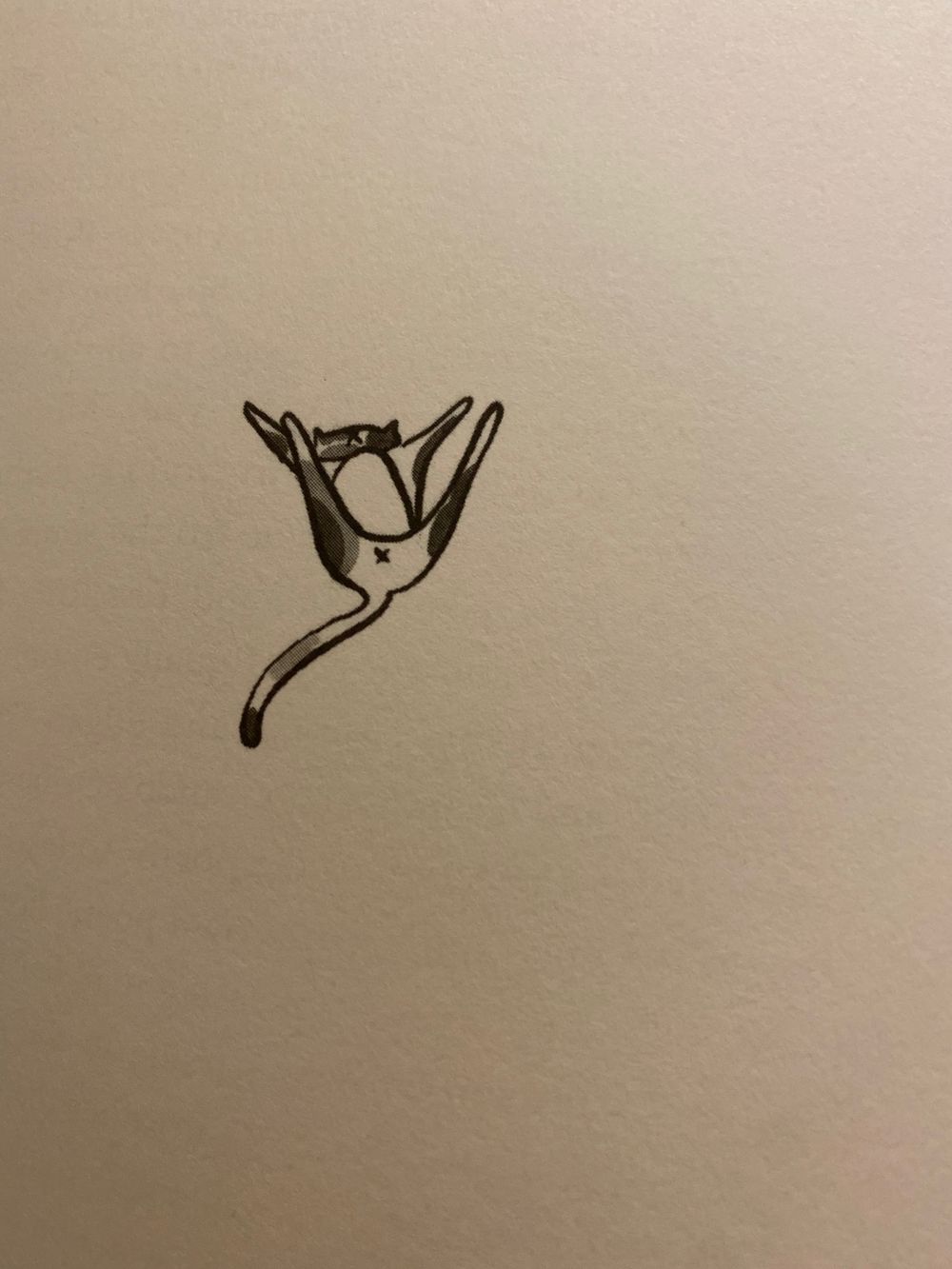 homegrownhomo OnlyFans profile picture