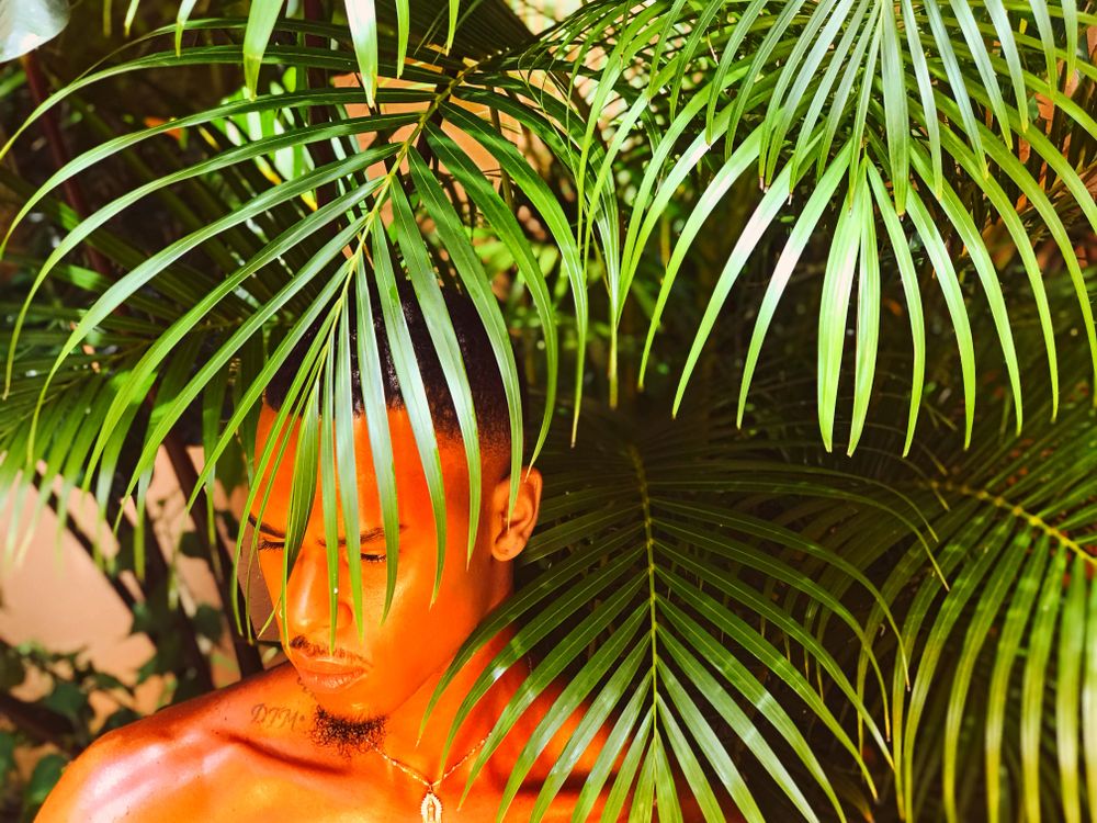 xdxnnx OnlyFans profile picture