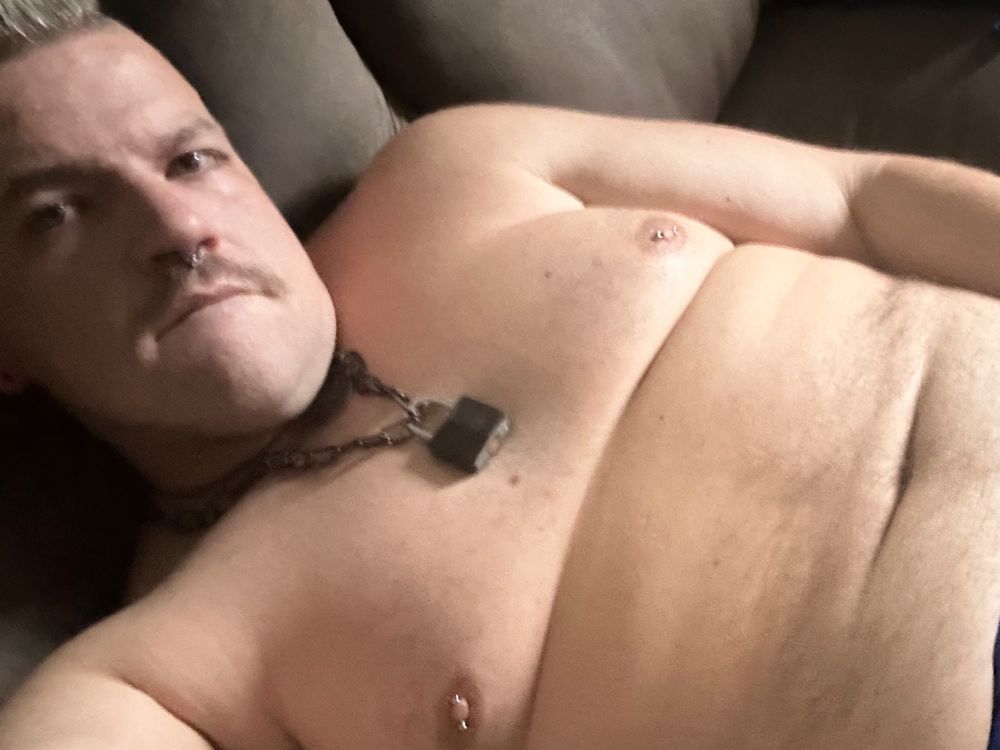 knoxcubbieboi OnlyFans profile picture