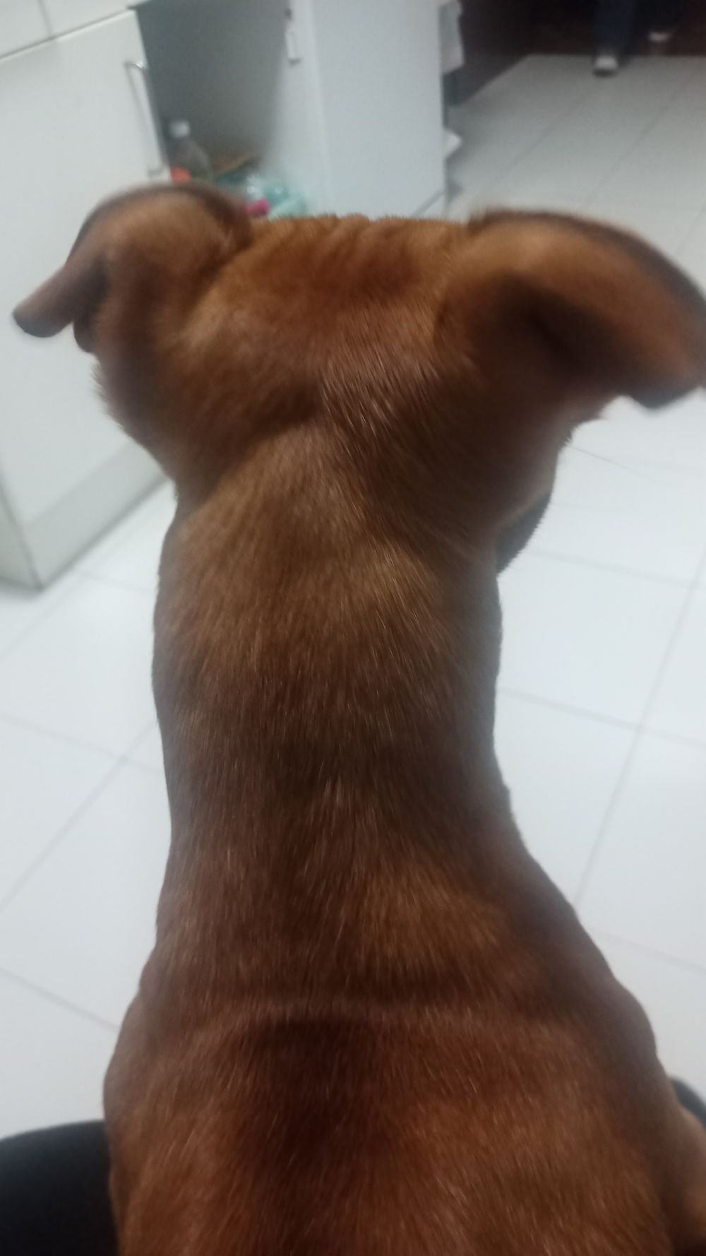 fernando140797 OnlyFans profile picture