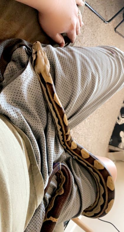 uncontrolledchaoss OnlyFans picture