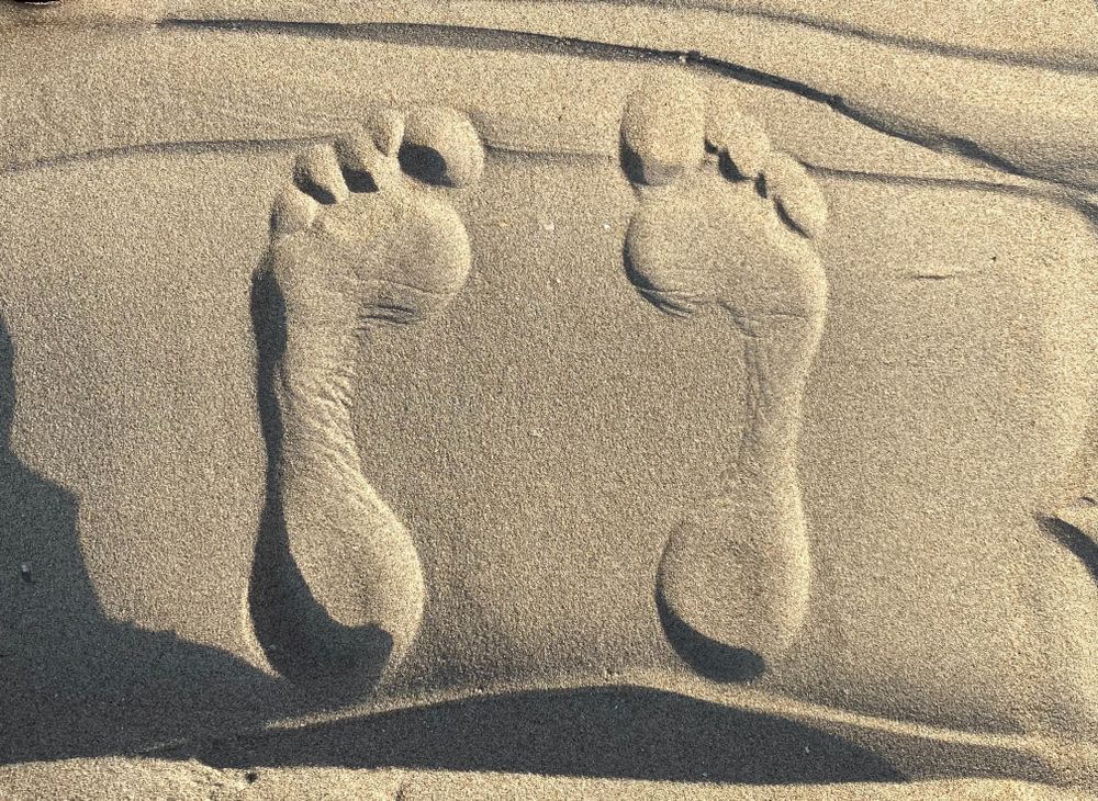 frenchfeetishist OnlyFans profile picture